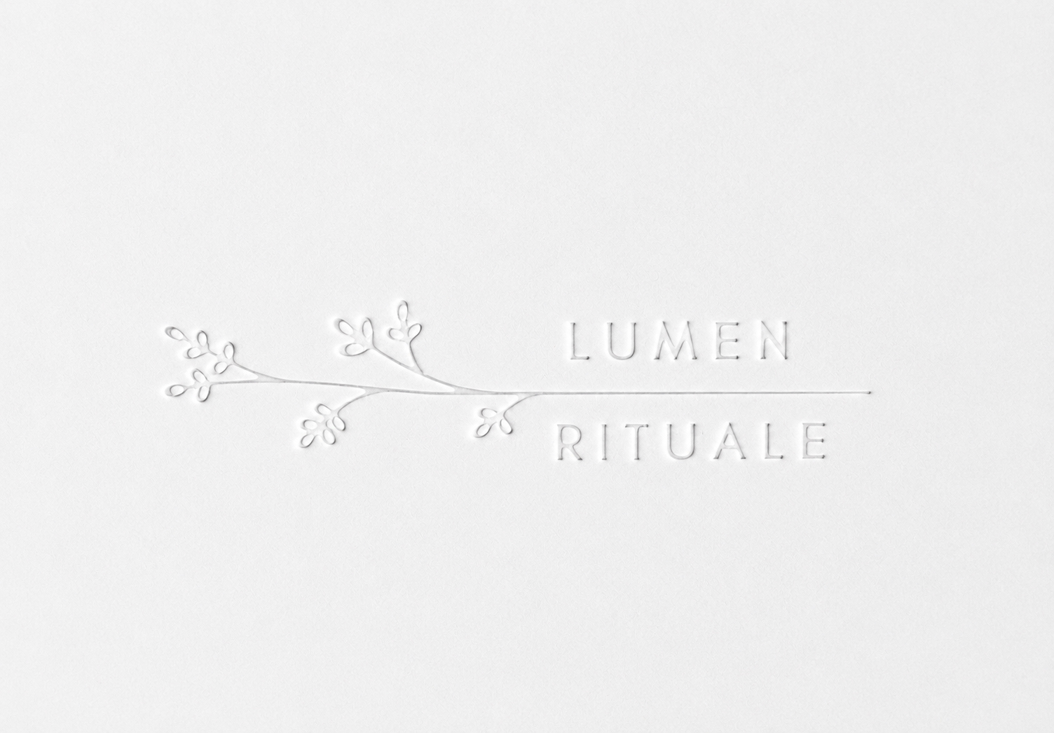 D&p Lumen Rituale Neck And Shoulder Box Logo