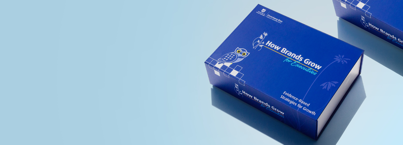 Design&pack Banner 04